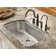 Waterhill Single Handle Kitchen Faucet with Side Spray and Duralock™