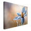 Pasque Flower In Blue - Wrapped Canvas Print-457499434-457499472