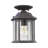 Kent Outdoor Hanging Lantern