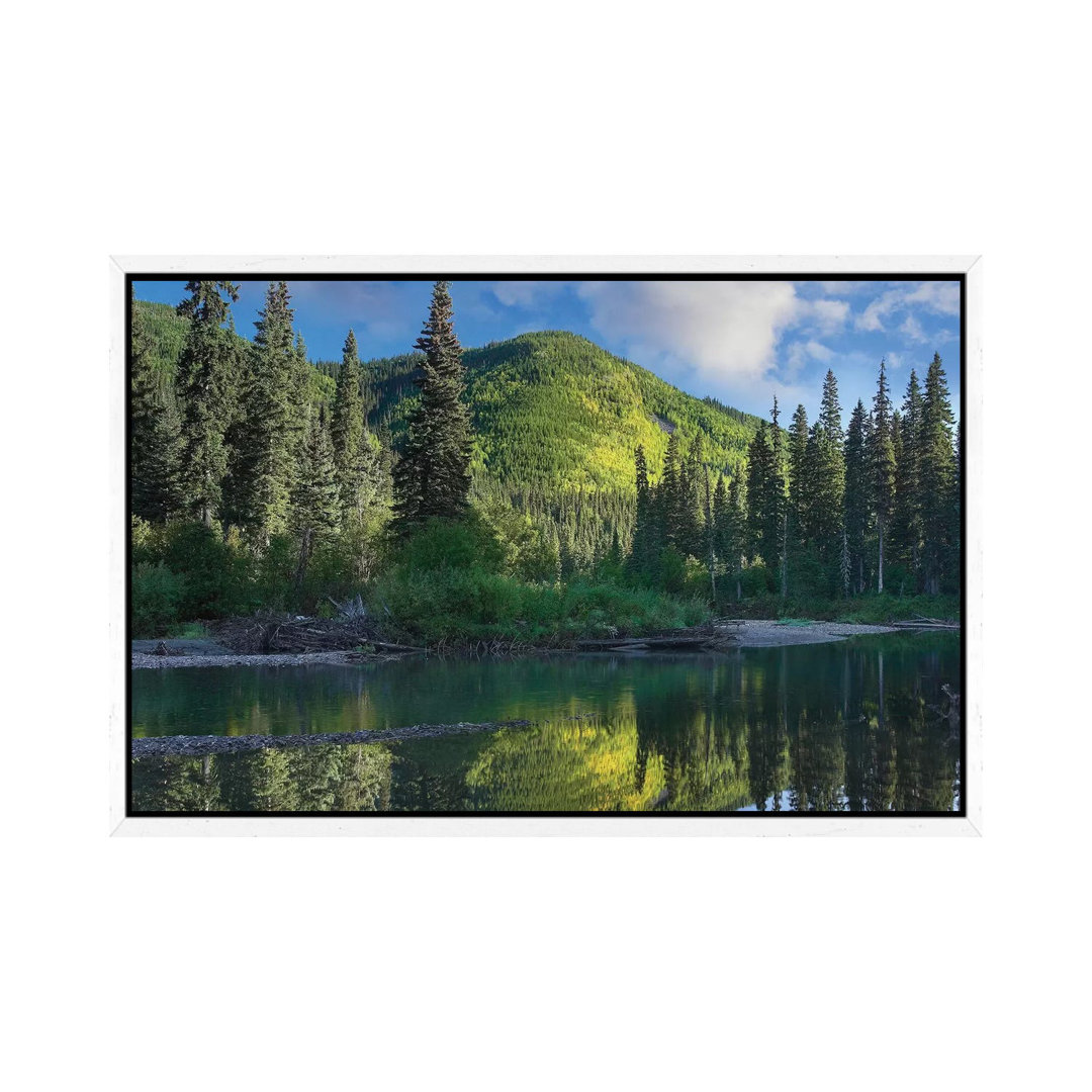 Pine River, Hart Ranges, British Columbia, Kanada von Tim Fitzharris - Galerie-verpackte Leinwand GiclÃ©e auf Leinwand