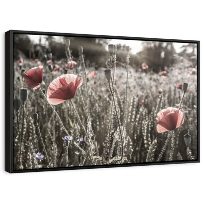 «Poppy Impression Vintage Color Pop Art»