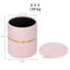 36cm Wide Accent Trunk Ottoman