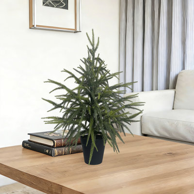 Pin artificiel 24 pouces Norfolk | Faux arbre de Noël pour la table | Petit pot à feuilles persistantes pour décor de bureau à la maison