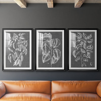 Graphic Foliage III - reproduction sur mesure encadrée de qualité supérieure - 3 pièces
