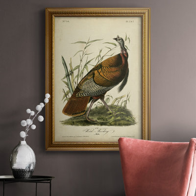 " Audubon Wild Turkey " Painting Print