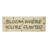 Spring In Bloom Bloom Where You're Planted MDF Wall Sign 5x14x0.75