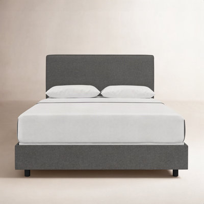 Marquise Cotton Upholstered Bed
