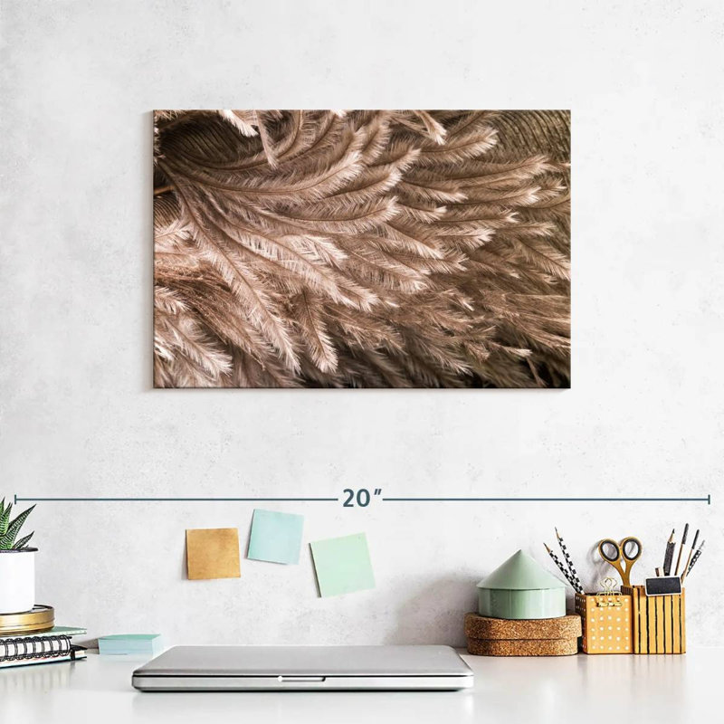 Brampt Ostrich Feathers, 8" H x 12" W