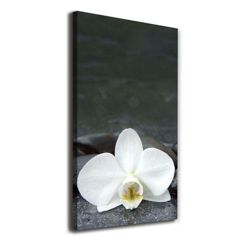 Orchid Stones - Wrapped Canvas Print