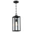 Schlesinger Outdoor Hanging Lantern