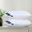 2 Pieces Bed Pillows Hote-119336095
