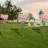 19.7ft Steel Wedding Backdrop Stand