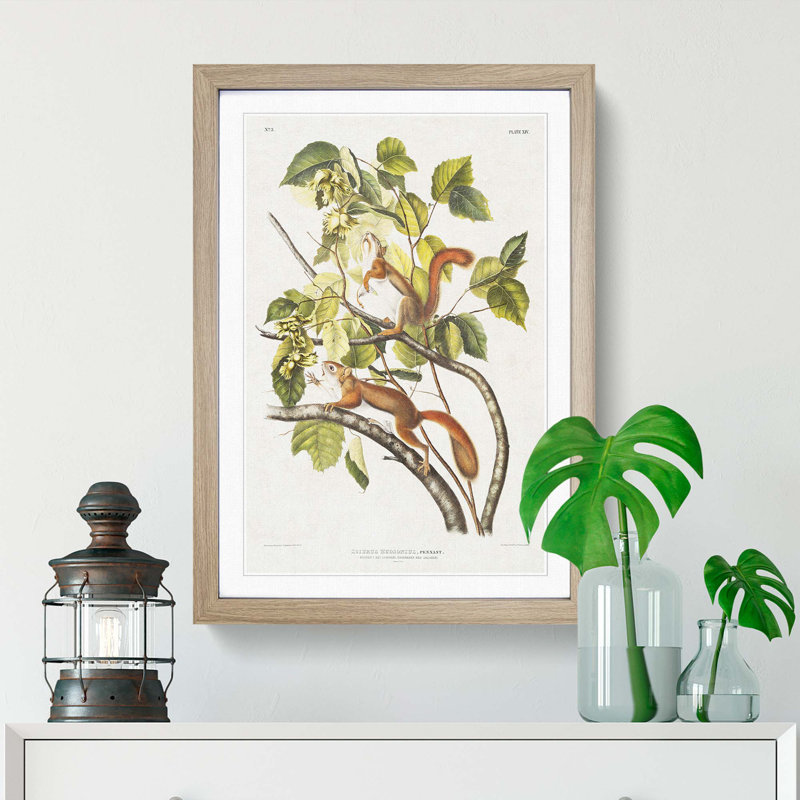 Red Squirrels by J.W. Audubon - Picture Frame Painting Print, Oak Framed, 65cm H x 48cm W x 2cm D