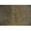 Tapis oriental Ziegler 7 x 10