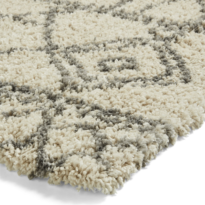 Gemmenne Flatweave Area Rug, Rectangle 160cm x 220cm