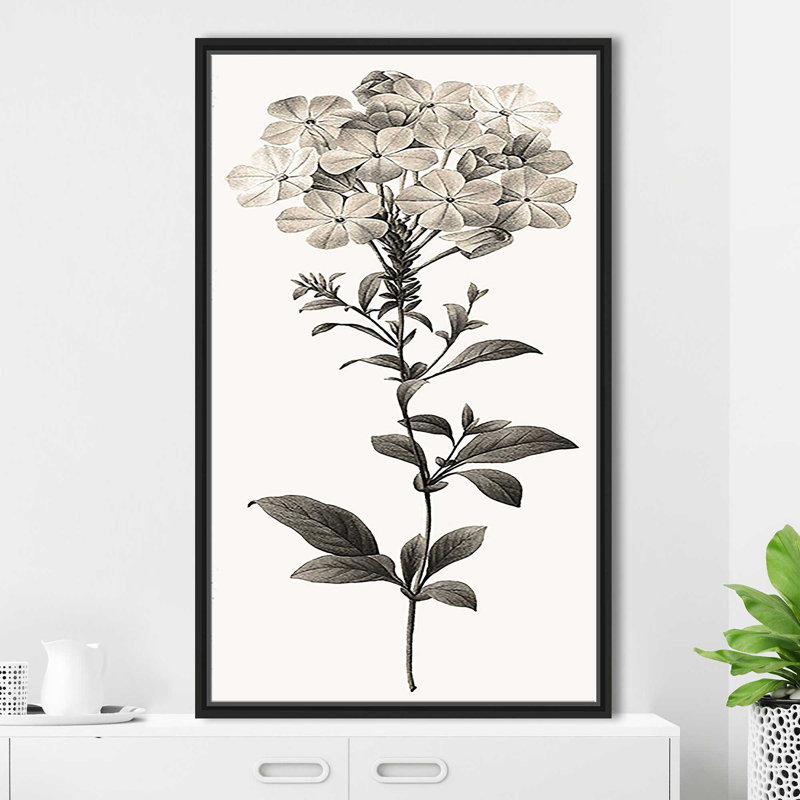 «Slender plomb» par Kelly Donovan - impression, Cadre flottant noir, H 51,5 po x l 31,5 po x P 2 po