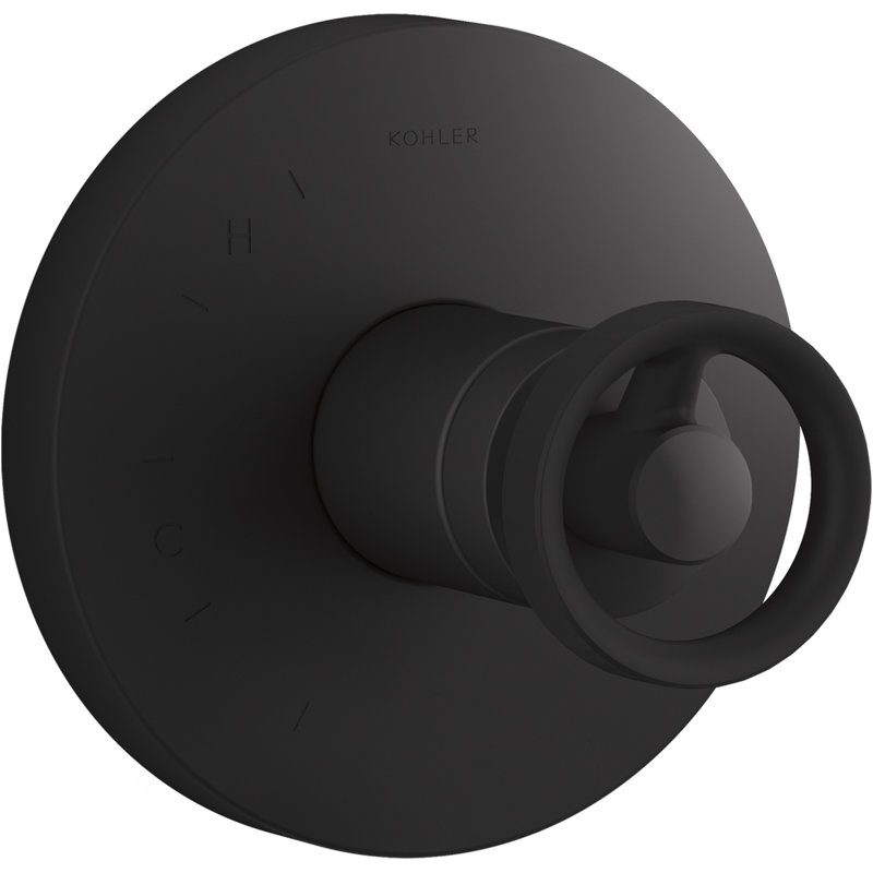 Components Rite-Temp Shower Valve Trim with Industrial Handle, Noir mat