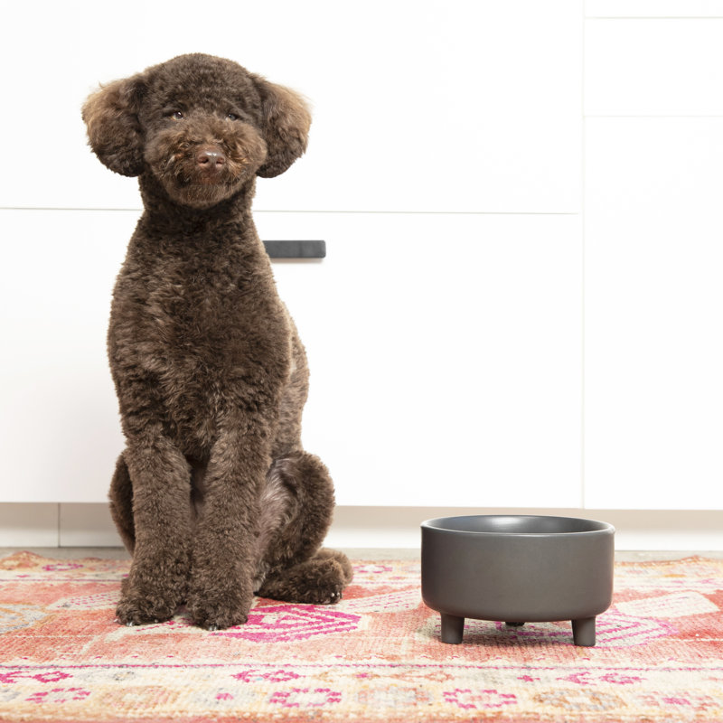 Medium Black Elevated Ceramic Pet Bowl