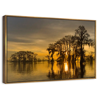 Golden Atchafalaya Basin