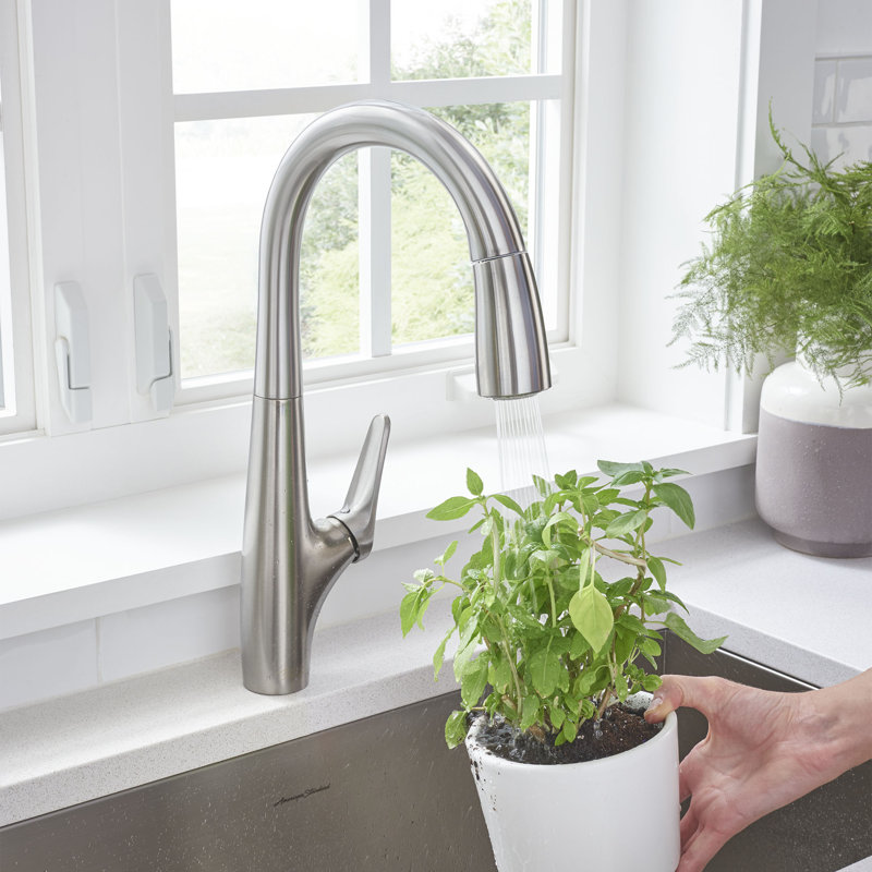 Robinet de bar de cuisine Avery, Acier inoxydable