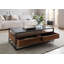 LOUNGE COLLECTION Coffee Table with Storage