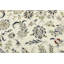 Tapis oriental crème crème 8 x 10 Indo-Nain