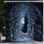 Ensemble de rideau de douche avec crochets gothic-1198881662