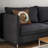 Outdoor Throw Pillow