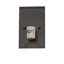 Rustic Lodge 2 - Light Flush Mounted Sconce