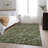 Premium Machine Washable Cerrito AMF501 Olive Rug-103838115