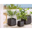 Deaveon Planter-21866551-21866547