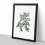 Bearberry Flowers Illustration 1 Piece Single Picture Frame Painting-55543905-55543909