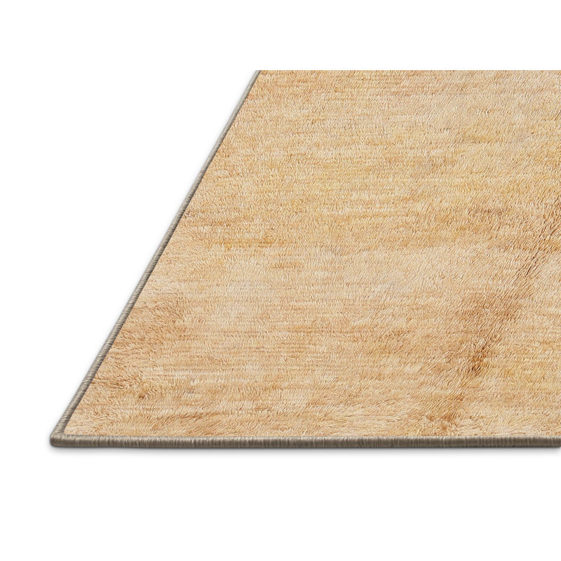 Tapis décoratif beige Contemporary, Rectangle 5 pi x 7 pi