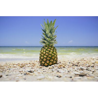 South Florida Pineapple II