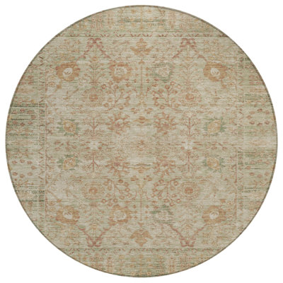 Machine Washable Indoor/Outdoor Chantille ACN1106 Beige Rug