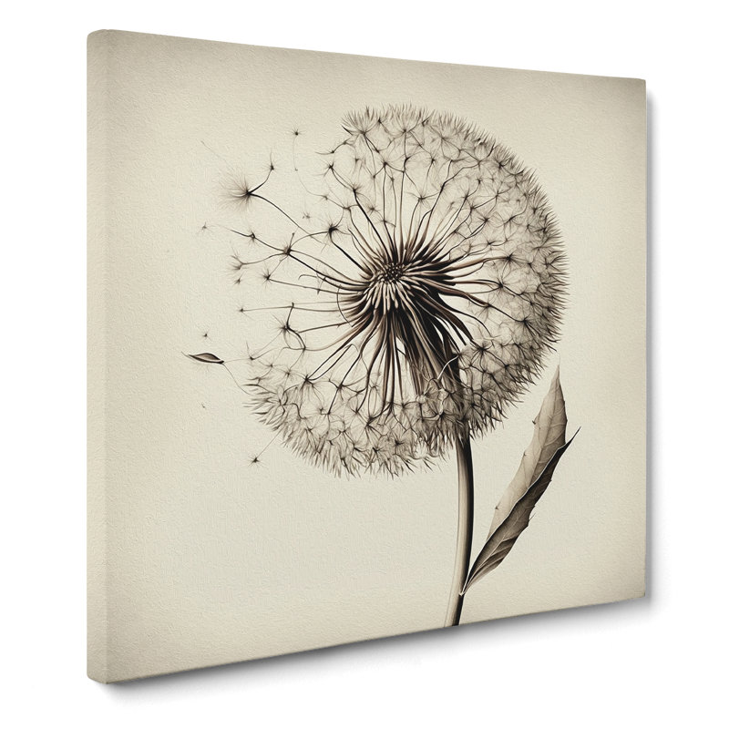 Dandelion Drawing - No Frame Print