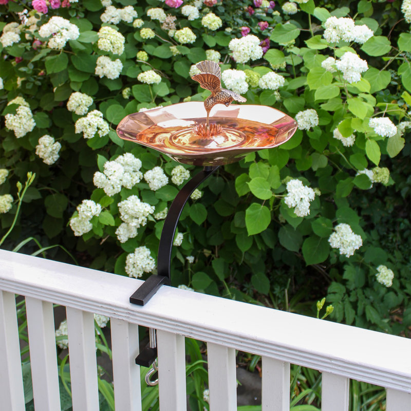 Hummingbird Birdbath with Rail Mount Bracket