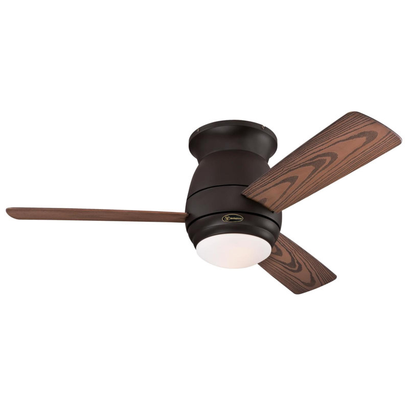 Halley 44'' Ceiling Fan with Light Kit