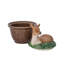 Forest Walk Deer Bowl With Lid - Multi