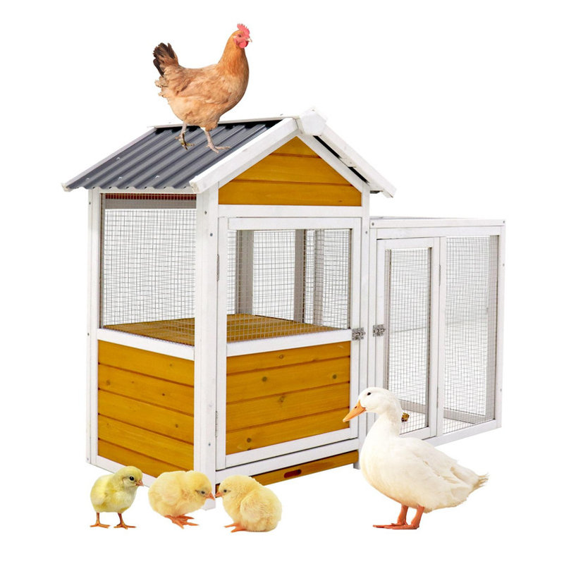 Grand poulailler d'extérieur 80 po Raisingh, H 50 po x l 77,4 po x P 46,3 po