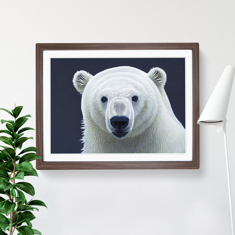 Engaging Polar Bear - Single Picture Frame Print, 46cm H x 64cm W x 2cm D, Walnut Framed