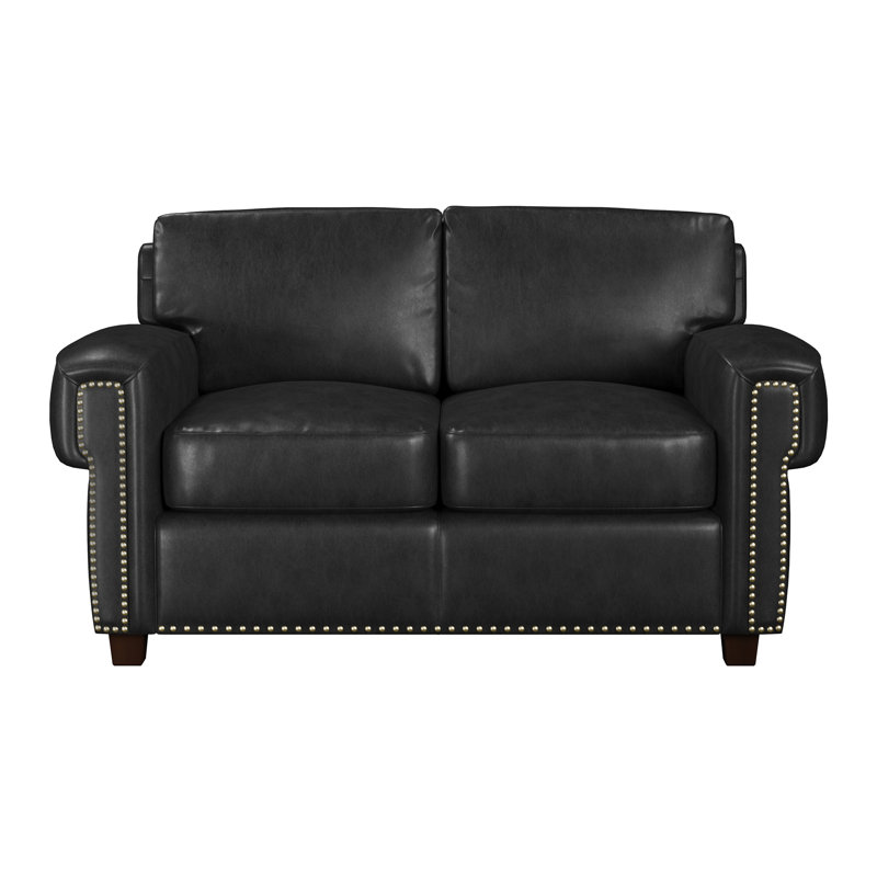 Fardin 63'' Leather Sleeper Loveseat, Black Genuine Leather