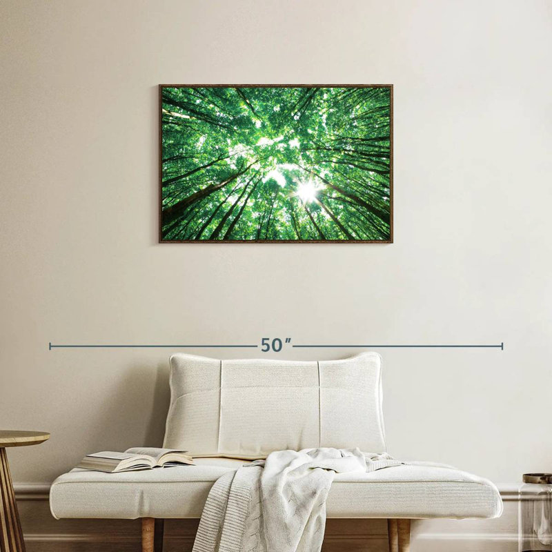 Forest Canopy, 31" X 21", Floating Frame Walnut