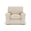 Chair And A Half-1608944972