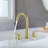 2-handle Bathroom Faucet with Drain Assembly-73695307