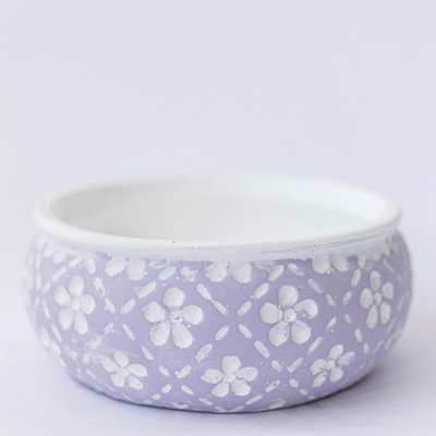 Boîte à fleurs lavande avec fleurs blanches