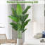 Aneekha 200cm Faux Plant