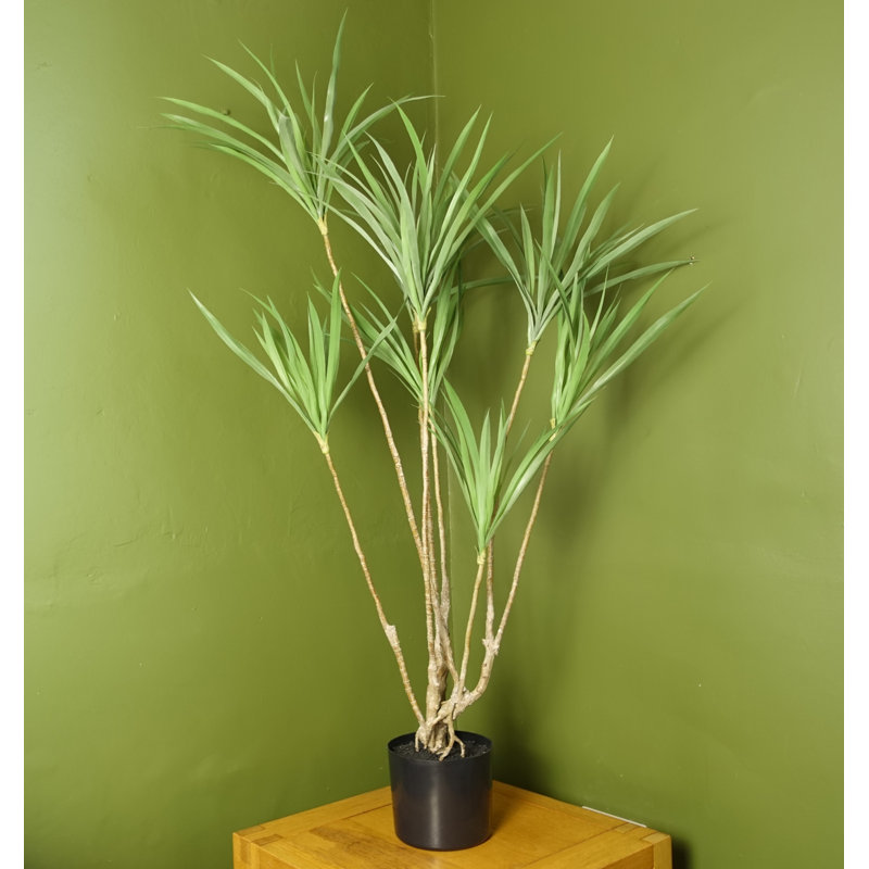 125cm Faux Dracaena Tree in Pot Liner