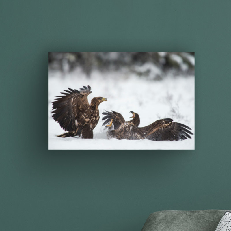 Ready to Fight par Robin Eriksson - reproduction de photo sur toile tendue, H 12 po x l 19 po x P 2 po