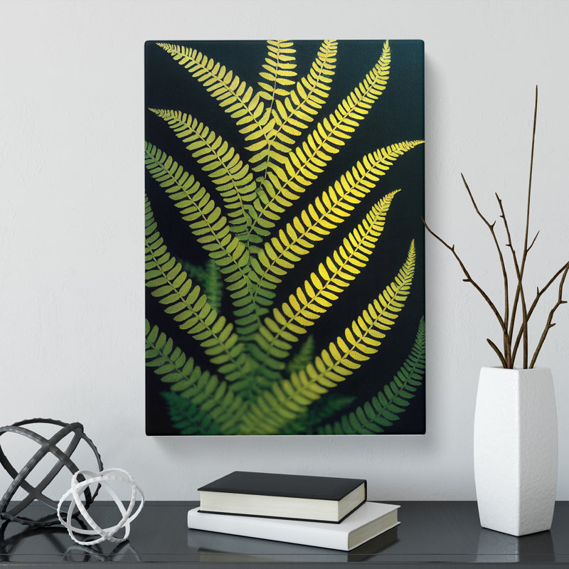 Lalik Fern Leaf View - Wrapped Canvas, 60cm H x 40cm W x 3cm D